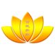 新网站